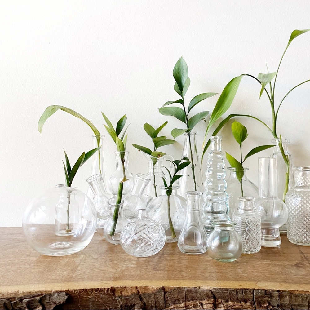 Teardrop Plant Propagation Bud Vase Clear Glass Small Flower Vase Boho - Picture 1 of 5